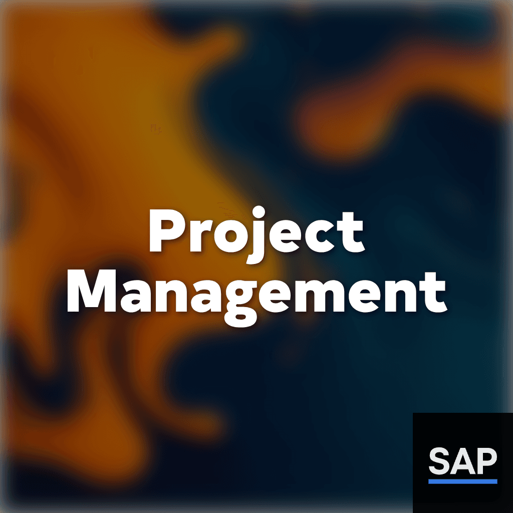 Project Management for Clients
